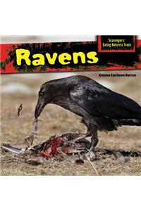 Ravens