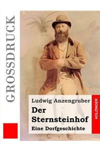 Der Sternsteinhof (Großdruck)
