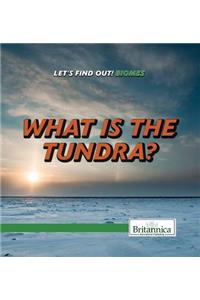 What Is the Tundra?