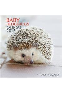 Baby Hedgehogs Calendar 2015