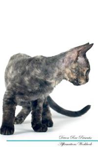 Devon Rex Affirmations Workbook Devon Rex Presents