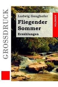 Fliegender Sommer (Großdruck)