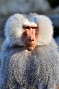 Portrait of a Baboon Journal