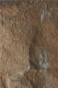 Journal Rough Stone Photo