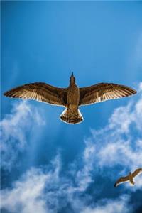 Seagull Journal