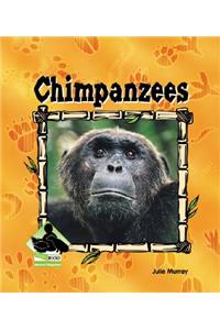 Chimpanzees