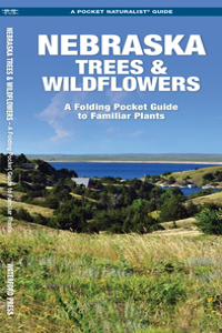 Nebraska Trees & Wildflowers