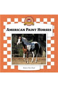 American Paint Horses