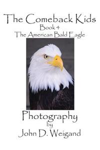 Comeback Kids, Book 4, The American Bald Eagle