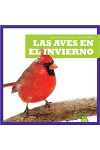 Las Aves En El Invierno