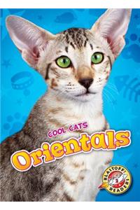 Orientals