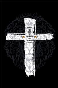 Fear Not for Jesus The Lion of Judah Has Triumphed