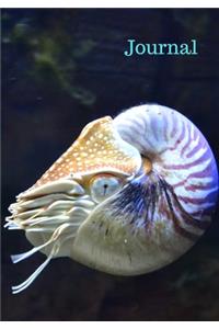 Journal