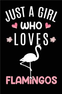 Just A Girl Who Loves Flamingos: Flamingo Animal Lover Gift Diary - Blank Date & Blank Lined Notebook Journal - 6x9 Inch 120 Pages White Paper