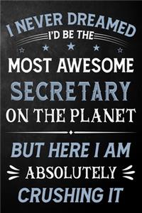 I Never Dreamed I'd Be The Most Awesome Secretary On The Planet But Here I Am Absolutely Crushing It