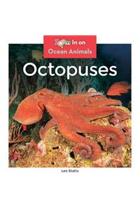 Octopuses