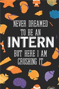 Never Dreamed To Be an Intern But Here I Am Crushing It