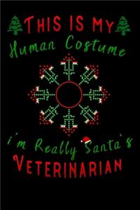 this is my human costume im really santa's Veterinarian