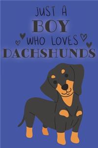 Just A Boy Who Loves Dachshunds