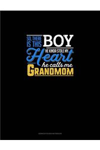 So, There Is This Boy He Kinda Stole My Heart He Calls Me Grandmom