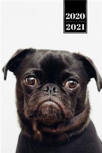Pug Dog Calendar Week Planner 2020 / 2021 - Sad Look