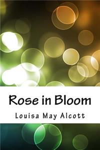 Rose in Bloom