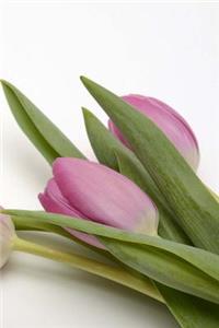 Tulips Notebook
