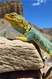 Collared Lizard Says, Ain't I Pretty? Journal: 150 Page Lined Notebook/Diary