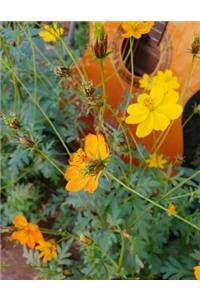 Yellow Flowers & Guitar Blank Tab Sheet Music
