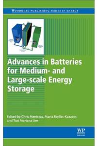 Advances in Batteries for Medium and Large-Scale Energy Storage