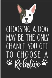 Choosing a Dog May Be the Only Chance You Get to Choose a Relative