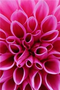 Pink Dahlia Flower Bloom Journal