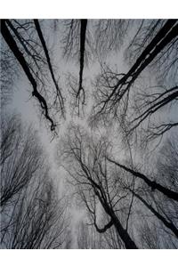 Tree Branches Notebook