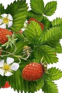 Strawberries Notebook