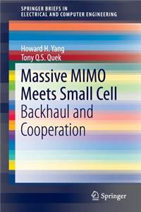 Massive Mimo Meets Small Cell