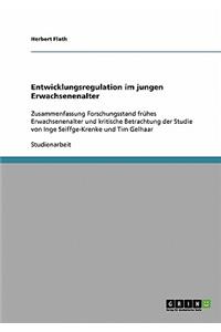 Entwicklungsregulation im jungen Erwachsenenalter