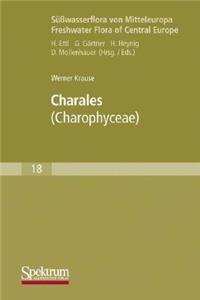 Süßwasserflora Von Mitteleuropa, Bd. 18: Charales