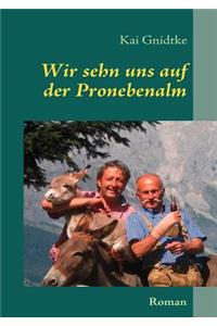 Wir sehn uns auf der Pronebenalm
