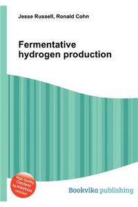 Fermentative Hydrogen Production