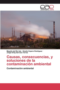 Causas, consecuencias, y soluciones de la contaminación ambiental