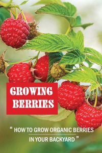 Growing Berries