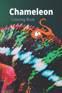 Chameleon Coloring Book