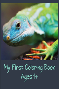 My First Coloring Book Ages 1+