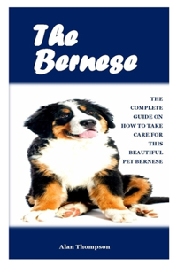The Bernese