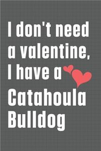 I don't need a valentine, I have a Catahoula Bulldog