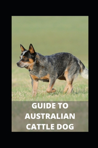 Guide to Australian Cattle Dog