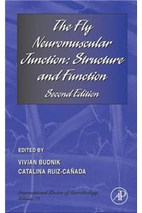 The Fly Neuromuscular Junction