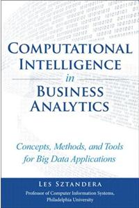 Computational Intelligence in Business Analytics