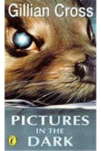 Pictures in the Dark