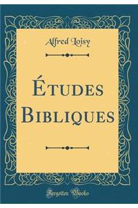 ï¿½tudes Bibliques (Classic Reprint)